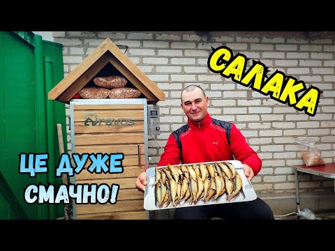 Видео: САЛАКА ГАРЯЧОГО КОПЧЕННЯ / НЕРЕАЛЬНО СМАЧНА РИБА, ОТРИМАВ МАСУ ЗАДОВОЛЕННЯ ВІД РИБИ
