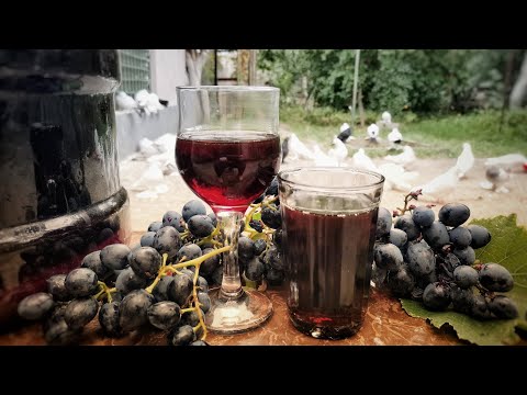 Видео: Как приготовить грузинское красное домашнее вино