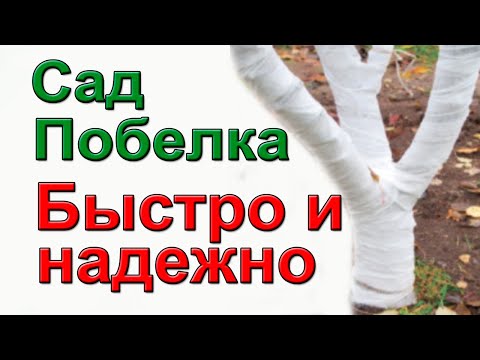 Видео: Не мучайтесь с побелкой. Как надежно защитить садовые деревья от весенних ожогов.