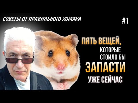 Видео: Павел Дартс - советы от правильного хомяка №1. Что стоило бы запасти уже сейчас