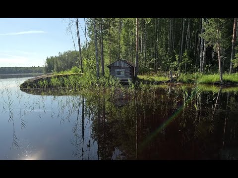 Видео: Рыбалка с ночевкой в Карельской тайге. Ловля огромного окуня на плотву.