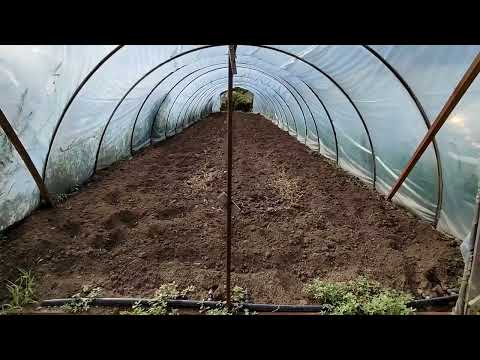 Видео: Готовим землю под посадку клубники.