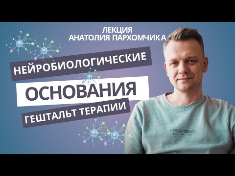 Видео: Нейробиологические основания гештальт-терапии.