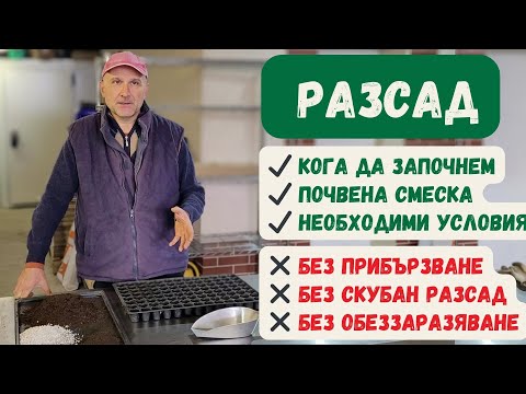 Видео: Как да си направим разсад