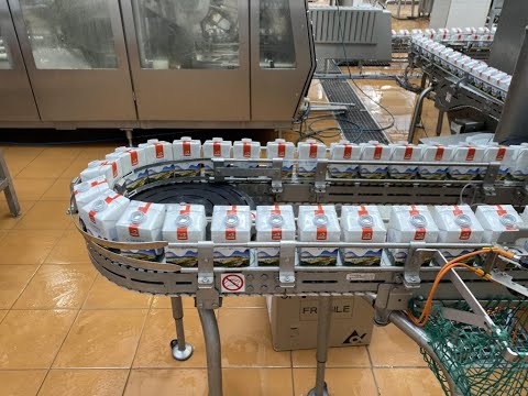 Видео: Брянский молочный комбинат посетил посол Уганды