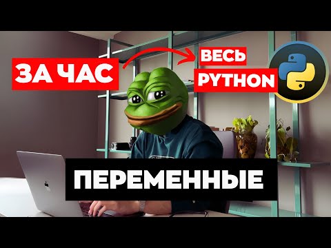 Видео: #1 ПИТОН для ЕГЭ по Информатике | Переменные и опперации