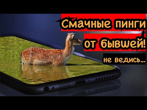 Видео: Сочные пинги от бывшей. Повёлся проиграл!