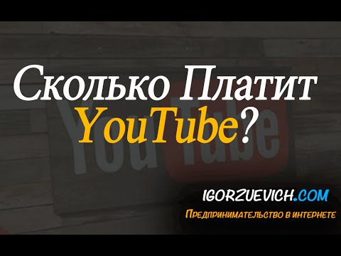 Видео: Сколько платят за 1000 просмотров на youtube / реальный заработок на ютубе