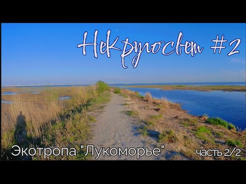 Видео: НеКругосвет #2, часть 2/2: экотропа "Лукоморье" у Лисьего Носа.