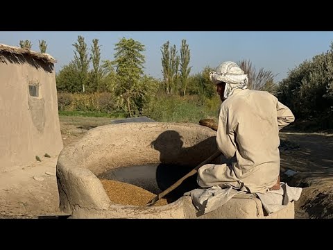 Видео: АФҒОНДА НЕГА ШОЛИНИ ҚОЗОНДА ҚОВУРИЯПТИ