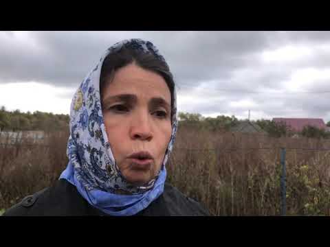 Видео: Осенняя красота природного земледелия.