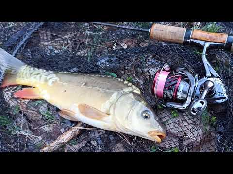 Видео: МОРМИШИНГОМ ЗА КОРОПАМИ