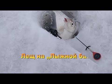 Видео: Опять лещ и опять Лыжная база 06.01.23