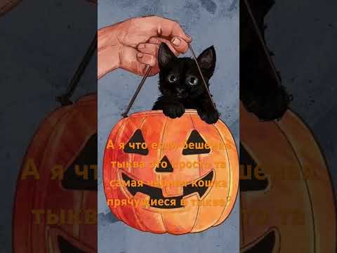 Видео: А если рил?… #catsstrokes #кошечкиштрихи #бешенаятыква