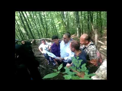 Видео: Врачеш, лития. 08.09.2017