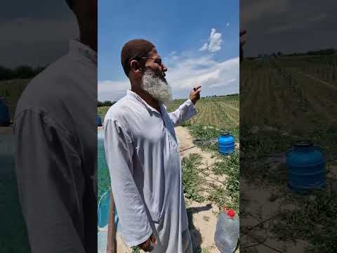 Видео: Сохтани ҳавзи оби қатрагӣ дар Самарқанд.