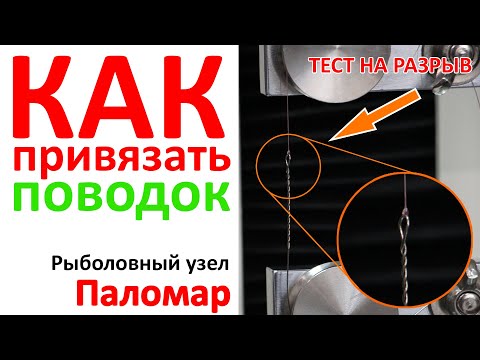 Видео: Как привязать поводок к шнуру? ❘ Рыболовный узел Паломар (Palomar knot) ❘ Тест узла на прочность