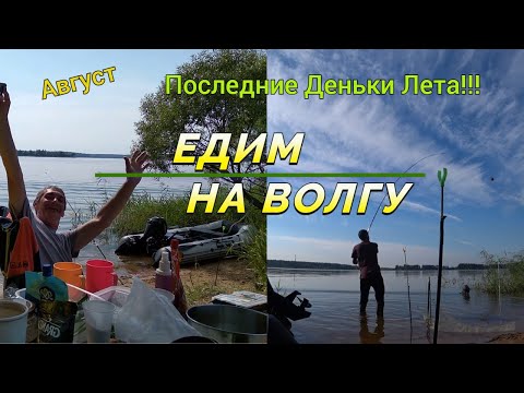 Видео: Едим на Волгу с палаткой в Конаково! Отдых и Рыбалка на острове!