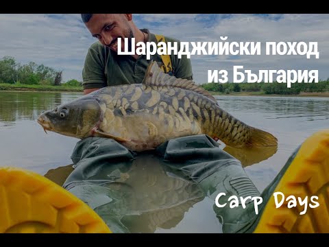 Видео: Шаранджийски поход из България - 5 дни с яко риби и брутални рънове