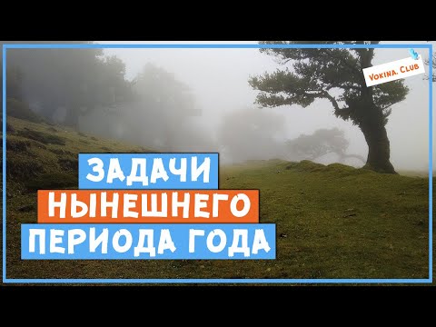 Видео: Задачи нынешнего периода года