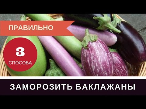 Видео: Как Правильно Заморозить Баклажаны на Зиму: Три Способа Баклажаны в Морозилку