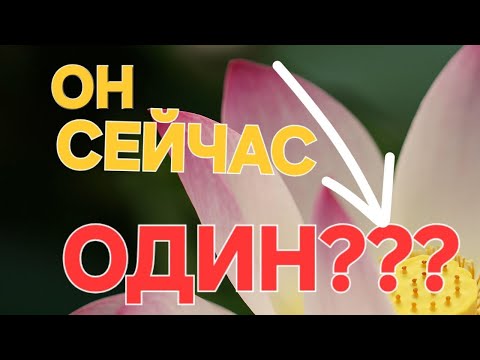 Видео: ОН сейчас ОДИН?#диагностикатаро