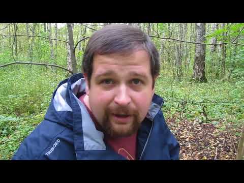 Видео: ЖИЗНЬ ПОСЛЕ РАЗВОДА.   10 САМЫХ ЧАСТЫХ ОШИБОК.
