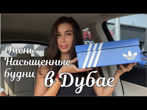 Видео: Будни в Дубае | На что я трачу деньги, где ем и куда хожу каждый день?