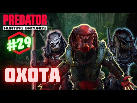 Видео: Predator Hunting Grounds ➤ ➤ ОХОТА #️29  #predator