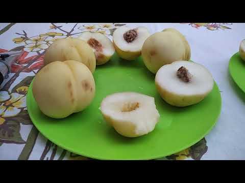 Видео: Айс Піч, перші враження (Icepeach)