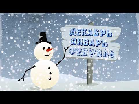 Видео: Кот, зима и оливье