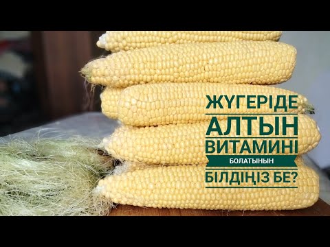 Видео: жүгеріні осы жолмен пісір. Жүгерінің шашағының пайдасы