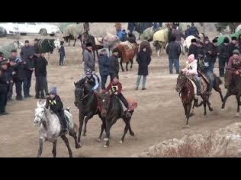 Видео: Ат шабыс той 02.02.2019 2-болим. Horse racing in the village