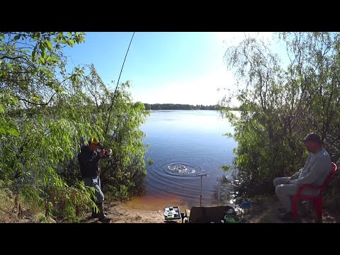 Видео: #рыбалка #фидер #лещ  Рибалимо всі разом. Фідер 2024 май🐟🐟🐟🇺🇦