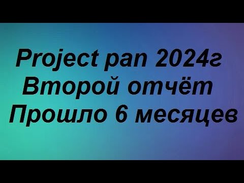 Видео: Project pan 2024. Прошло 6 месяцев.