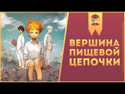 Видео: Манга Обещанный Неверленда / The Promised Neverland – Им было не суждено вырасти
