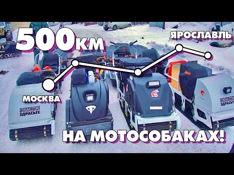 Видео: 500км на МОТОСОБАКАХ! Из Москвы в Ярославль с ПРИКЛЮЧЕНИЯМИ! Серия 1