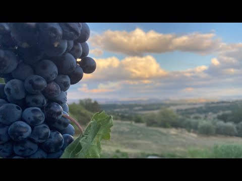 Видео: Италия. Осенняя Тоскана. Счастье есть. Прекрасный день с подписчиками и с Беатой.