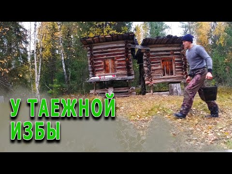 Видео: Жизнь в таежной избе. Восстанавливаем силы. Топим баньку по-черному.