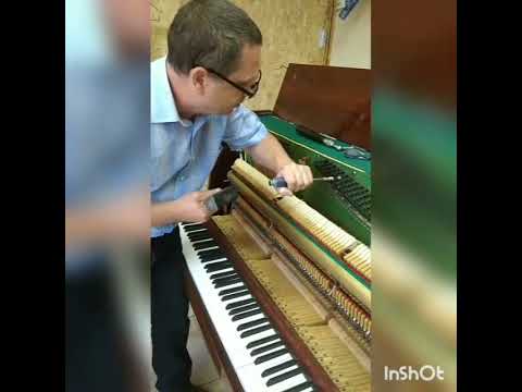 Видео: #Настройка пианино #Ремонт, замена колков.