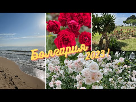 Видео: Золотые пески, Болгария 2023 | Обзор отеля Holiday park 4*