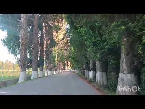 Видео: Дорога в Пицунду. Абхазия