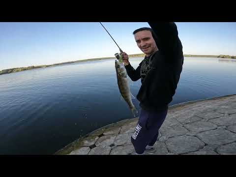 Видео: Окуни озернинского водохранилища / окунь, щука, судак.