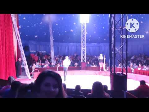 Видео: На цирк с деца 3 част