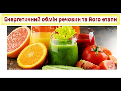 Видео: Енергетичний обмін речовин та його етапи.