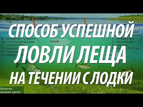 Видео: КАК ЛОВИТЬ ЛЕЩА НА РЕКЕ. ЛЕЩ С ЛОДКИ НА ПЛОСКИЙ ПОПЛАВОК НА ТЕЧЕНИИ