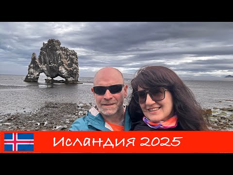 Видео: Исландия, день 5 | Киты, мясо акулы и базальтовый монстр Hvítserkur