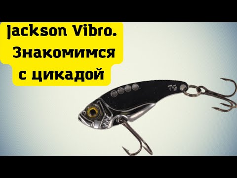 Видео: НЕОБЫЧНАЯ ПРИМАНКА на ОКУНЯ. Цикада Jaxon Vibro