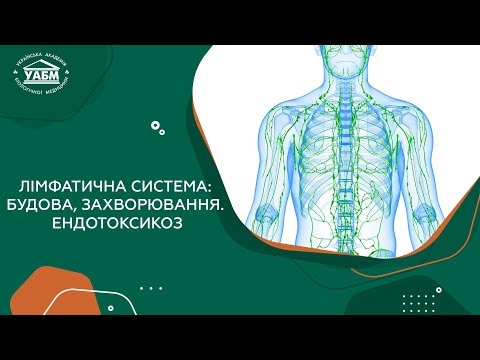 Видео: ЛІМФАТИЧНА СИСТЕМА: будова, захворювання. Ендотоксикоз