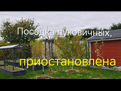 Видео: Дача на севере Германии, октябрь 2025 